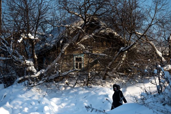 El invierno siberiano El invierno siberiano - Sputnik Mundo