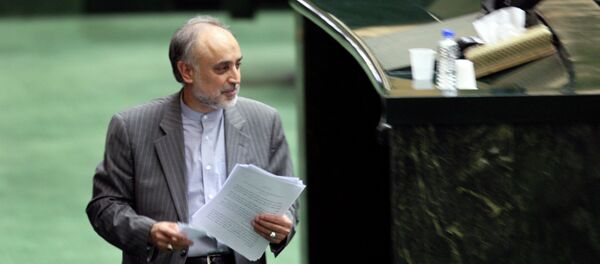 Ali Akbar Salehi, jefe de la Organización de Energía Atómica de Irán - Sputnik Mundo