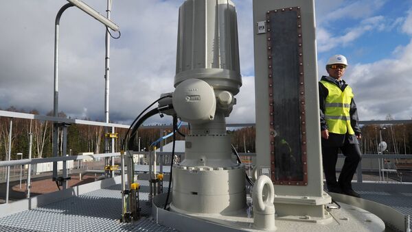 Presidenta lituana ve en el Nord Stream 2 intento ruso de dividir Europa Presidenta lituana ve en el Nord Stream 2 intento ruso de dividir Europa - Sputnik Mundo