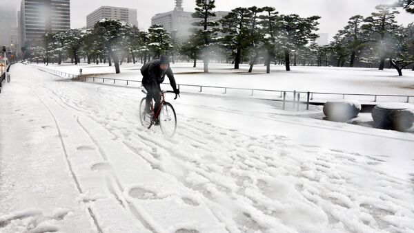 Nevadas en Japón - Sputnik Mundo