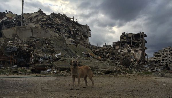 Homs en Siria: ciudad fantasma - Sputnik Mundo