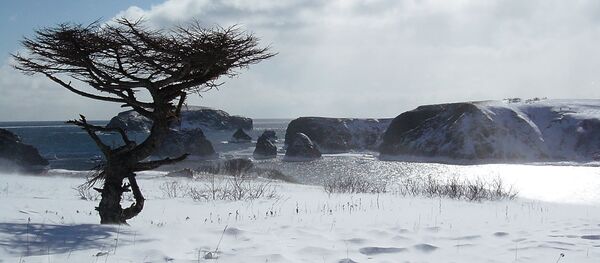 Una de las islas Kuriles, Shikotan - Sputnik Mundo