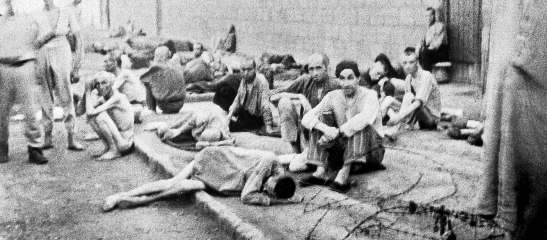Campo de concentración de Mauthausen - Sputnik Mundo, 1920, 05.05.2020