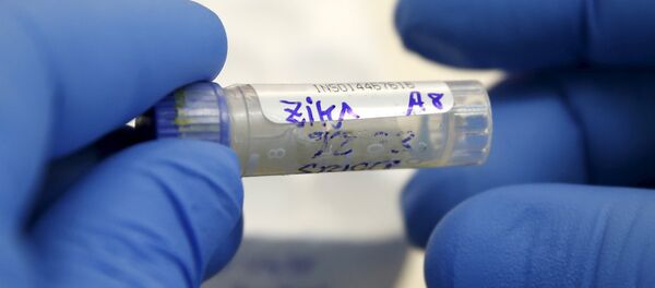 Virus Zika - Sputnik Mundo