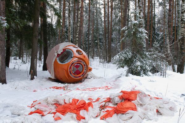 Simulacro de cosmonautas: sobrevivir en un bosque nevado - Sputnik Mundo