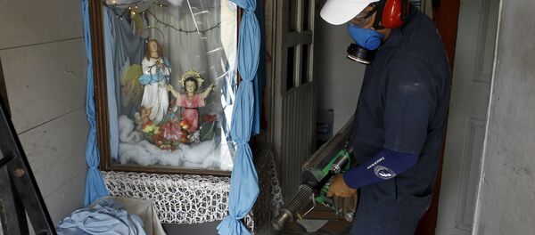 América Latina busca estrategia común para combatir el zika - Sputnik Mundo