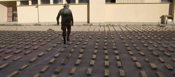 Marihuana incautada en Bolivia (Archivo) - Sputnik Mundo