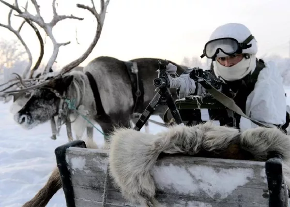 Huskies y ciervos al servicio militar ruso Huskies y ciervos al servicio militar ruso - Sputnik Mundo