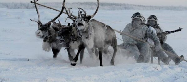 Huskies y ciervos al servicio militar ruso Huskies y ciervos al servicio militar ruso - Sputnik Mundo