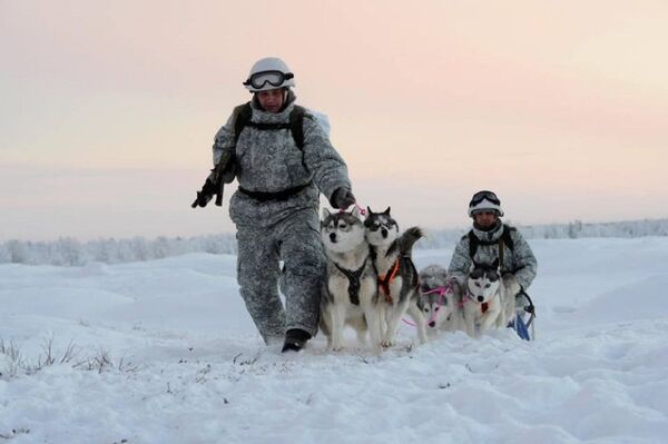 Huskies y ciervos al servicio militar ruso - Sputnik Mundo