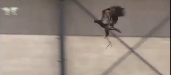 Naturaleza vs. Máquina - Sputnik Mundo