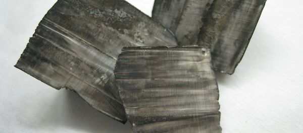 Litio - Sputnik Mundo