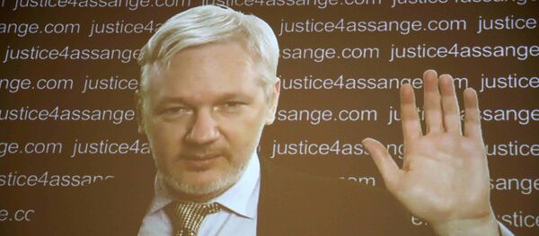 Julian Assange aparece en la pantalla de la rueda de prensa vía vídeo Julian Assange aparece en la pantalla de la rueda de prensa vía vídeo - Sputnik Mundo