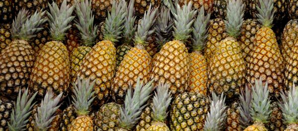 Piñas - Sputnik Mundo