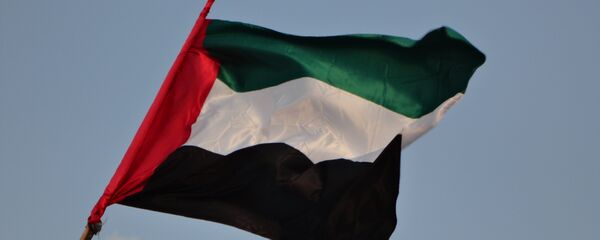 La bandera de Emiratos Árabes Unidos - Sputnik Mundo