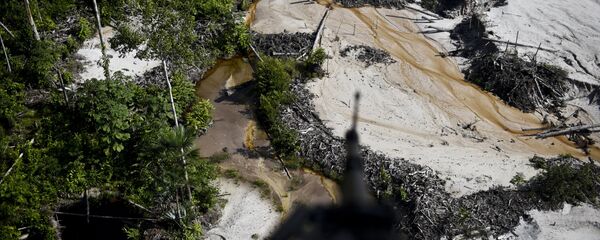 Una minería ilegal en Colombia Una minería ilegal en Colombia - Sputnik Mundo