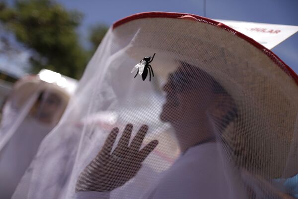 Guerra de mosquitos: la lucha contra el virus del Zika - Sputnik Mundo