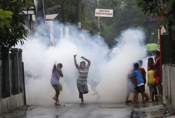 Guerra de mosquitos: la lucha contra el virus del Zika - Sputnik Mundo