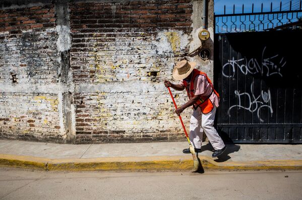 Guerra de mosquitos: la lucha contra el virus del Zika - Sputnik Mundo