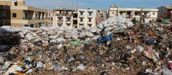 Basura en las calles de Wadi al-Zayneh, Líbano Basura en las calles de Wadi al-Zayneh, Líbano - Sputnik Mundo