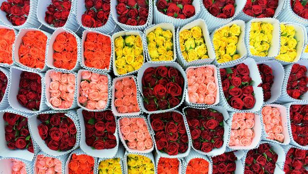 Flores para el Día de San Valentín en la India - Sputnik Mundo