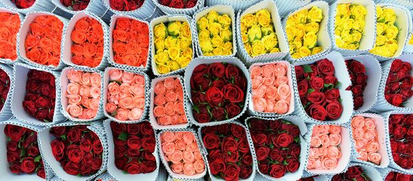 Flores para el Día de San Valentín en la India - Sputnik Mundo