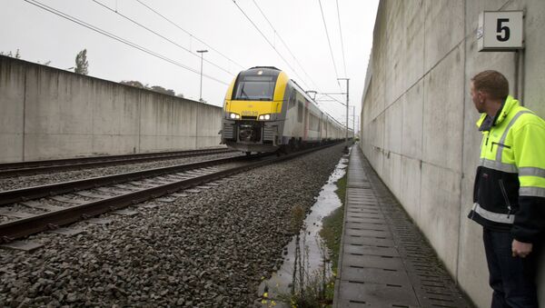 In this photo taken on Thursday, Oct. 22, 2015, a train engineer watches a local train as it prepares to enter a solar topped tunnel in Brasschaat, Belgium. - Sputnik Mundo