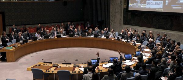 CS de la ONU respalda alto el fuego en Siria - Sputnik Mundo