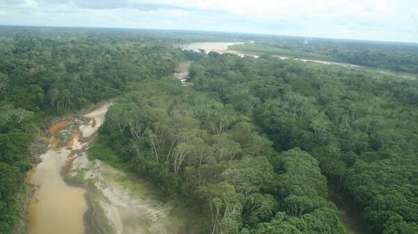 Amazonia, Perú - Sputnik Mundo