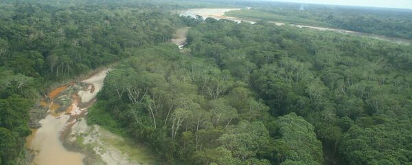 Amazonia, Perú - Sputnik Mundo