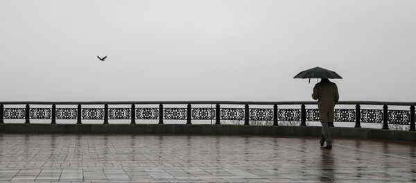 Un día lluvioso en Kiev, capital de Ucrania - Sputnik Mundo