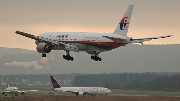 El avión de Malaysia Airlines - Sputnik Mundo