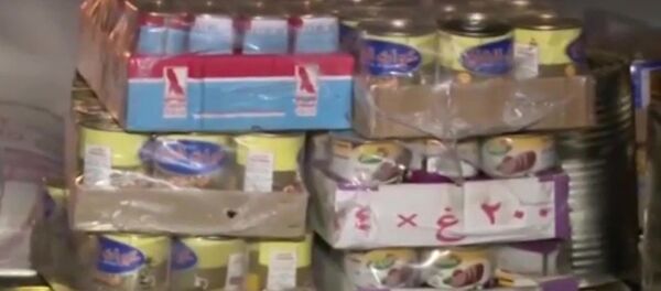 Ayuda humanitaria rusa (archivo) - Sputnik Mundo