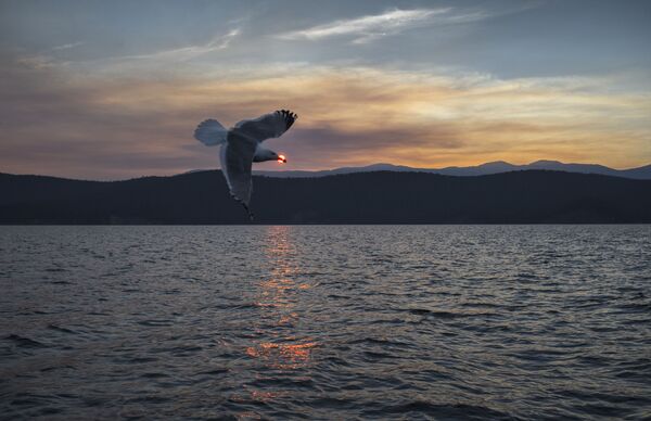 Áreas protegidas de Rusia - Sputnik Mundo