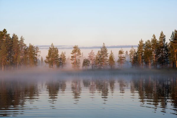 Áreas protegidas de Rusia - Sputnik Mundo
