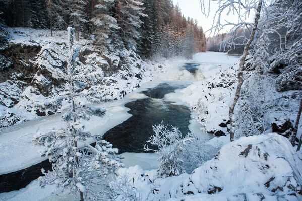 Áreas protegidas de Rusia - Sputnik Mundo