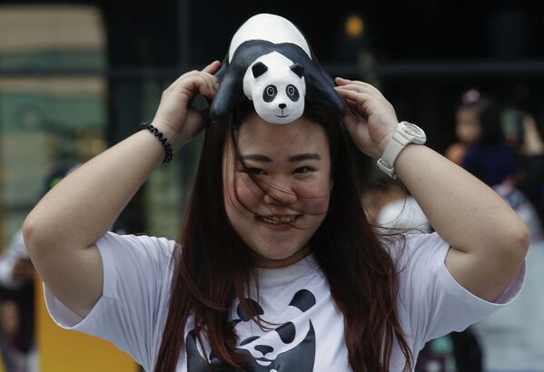 Miles de pandas invaden las calles de Bangkok - Sputnik Mundo