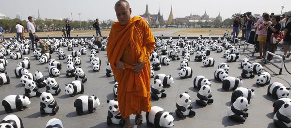 Miles de pandas invaden las calles de Bangkok - Sputnik Mundo