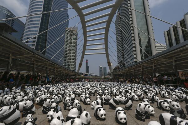 Miles de pandas invaden las calles de Bangkok - Sputnik Mundo