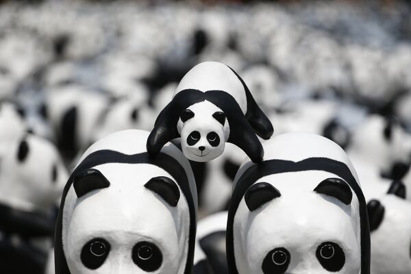 Miles de pandas invaden las calles de Bangkok - Sputnik Mundo
