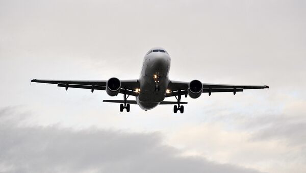 Un Airbus A319 - Sputnik Mundo