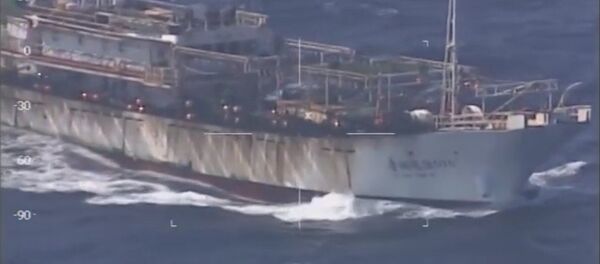 Barco chino pesca ilegalmente en aguas argentinas - Sputnik Mundo