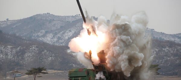 Lanzamiento de un misil en Corea del Norte - Sputnik Mundo