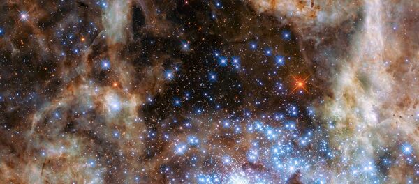 Región central de la Nebulosa de la Tarántula - Sputnik Mundo