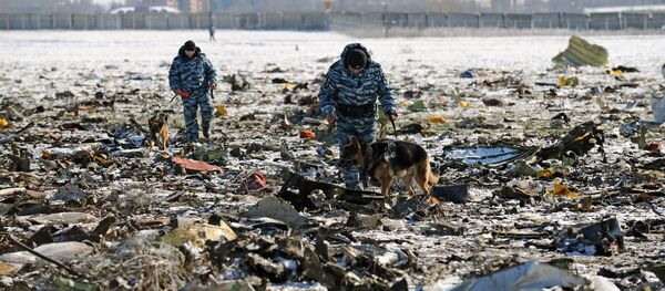 Lugar del siniestro del avión Boeing-737 - Sputnik Mundo