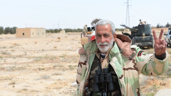 Combatiente de Los Falcones del Desierto - Sputnik Mundo