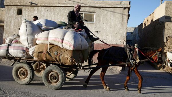 Un habitante de Siria en un carro - Sputnik Mundo