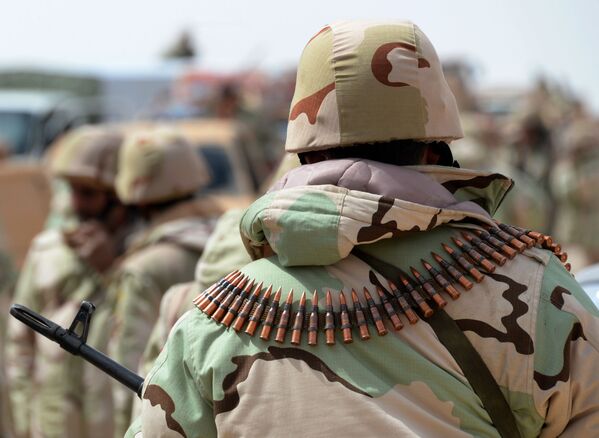 Los Halcones del desierto en la entrada de Palmira - Sputnik Mundo