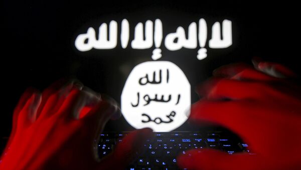 EEUU y Jordania acuerdan la lucha conjunta contra propaganda de Daesh en internet - Sputnik Mundo