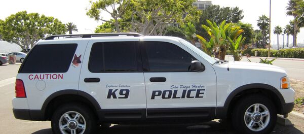 Descubren narcotúnel secreto: Desde la sala de una casa en EEUU a un restaurante en México - Sputnik Mundo